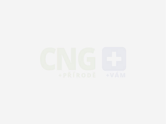 Revize CNG pro emise/STK u tovární zástavby na CNG
